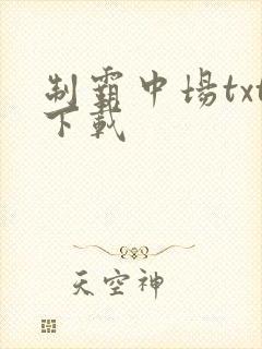 制霸中场txt下载