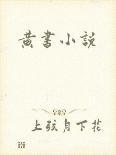 黄书小说