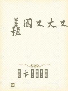 美国又大又长又租