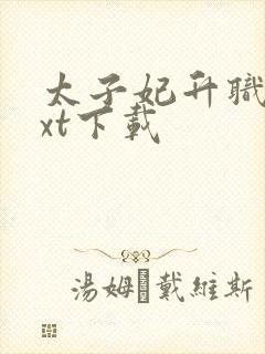 太子妃升职记txt下载