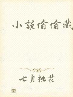 小说偷偷藏不住