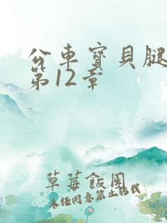 公车宝贝腿开点第12章