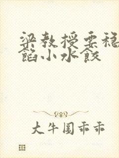 梁教授要稳住肉馅小水饺