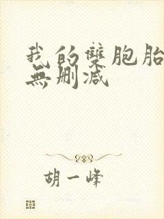 我的双胞胎老婆无删减