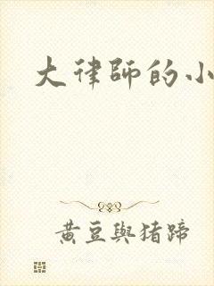 大律师的小老婆