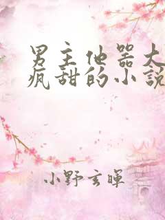 男主他器大活好疯甜的小说