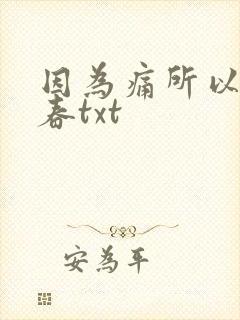 因为痛所以叫青春txt