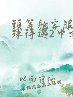 头等舱客服的特殊待遇2中字