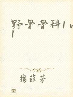 野骨骨科1 v1