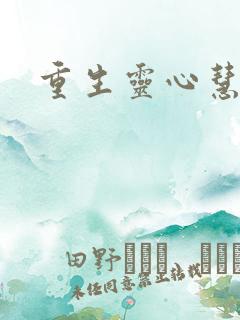 重生灵心慧智