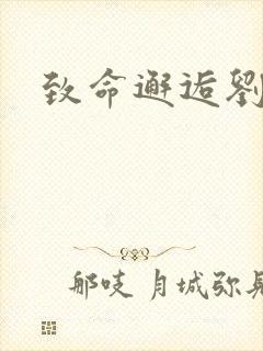 致命邂逅刘小寐