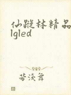 仙踪林精品zzlgled