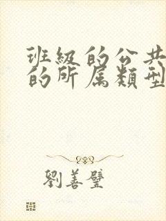 班级的公共小0的所属类型