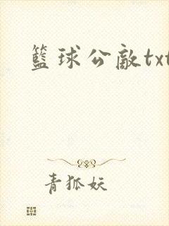 篮球公敌txt