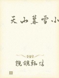 天山暮雪小说