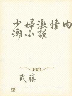 少妇激情肉欲高潮小说