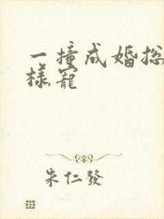 一撞成婚总裁花样宠