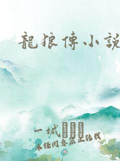龙狼传小说