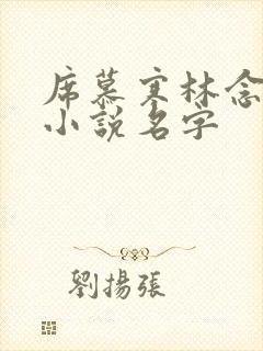 席慕寒林念儿的小说名字