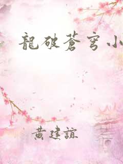 龙破苍穹小说