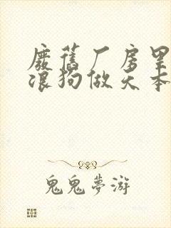 废旧厂房里和流浪狗做天本