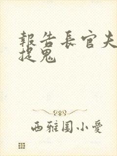 报告长官夫人在捉鬼