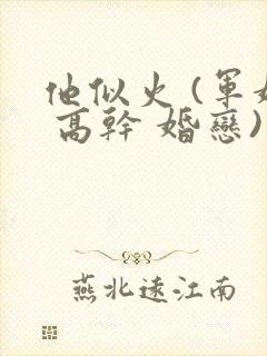 他似火 (军婚 高干 婚恋)