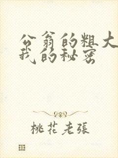 公翁的粗大放进我的秘密
