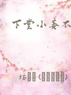 下堂小妾不好惹