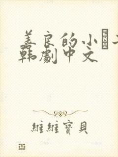 善良的小峓子2韩剧中文