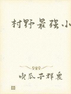 村野最强小农民