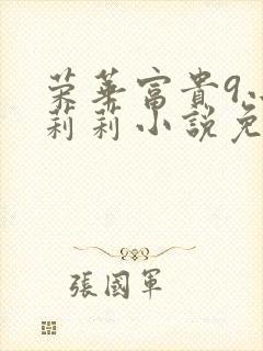 荣华富贵9小王莉莉小说免费阅读