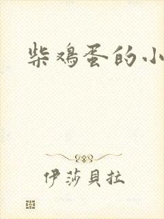 柴鸡蛋的小说