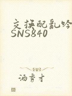交换配乱吟粗大SNS840