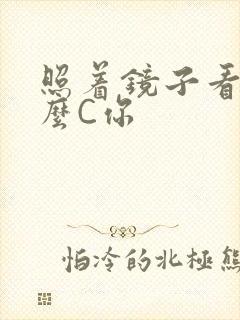 照着镜子看我怎么C你