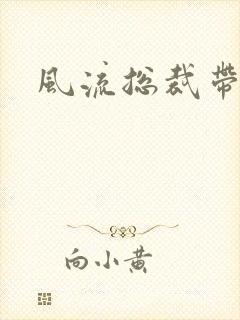 风流总裁带球妻