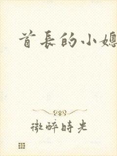首长的小媳妇