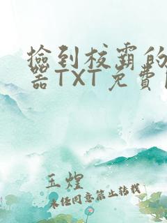 捡到校霸的遥控器TXT免费阅读