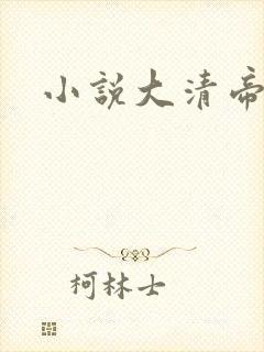 小说大清帝国