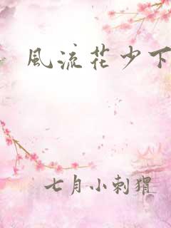 风流花少下载