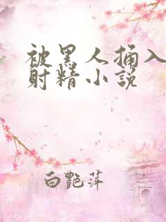 被黑人捅入子宫射精小说