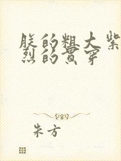 朕的粗大紫红猛烈的贯穿