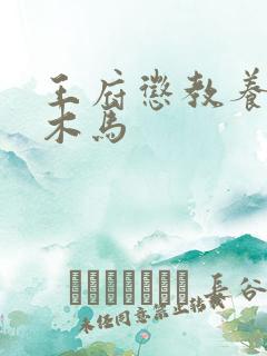 王府惩教养日常木马