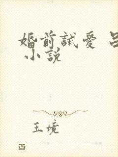 婚前试爱 吕颜 小说