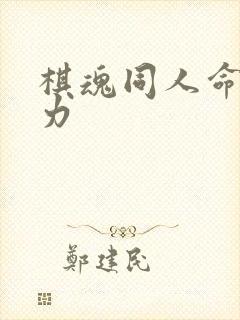 棋魂同人命运之力