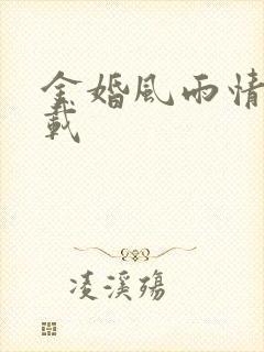 金婚风雨情 下载