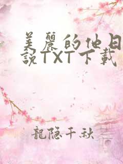 美丽的他日剧小说TXT下载