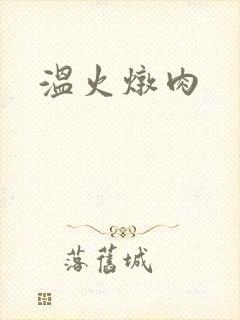 温火炖肉