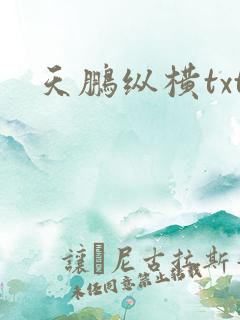 天鹏纵横txt