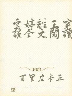 云婷离王穿越小说全文阅读